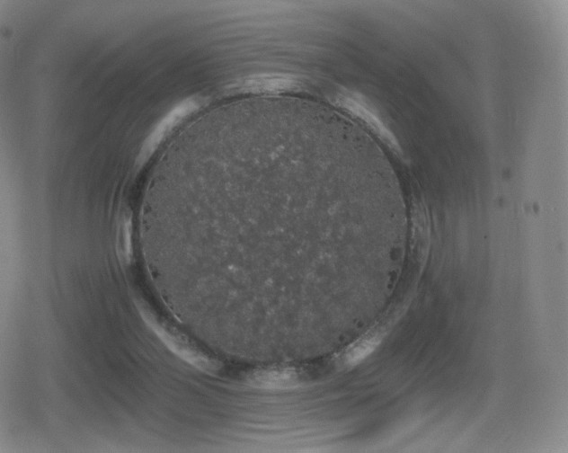 X0000080730110200612151234