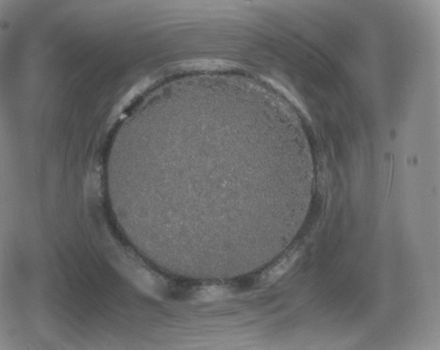 X0000080730111200612151234