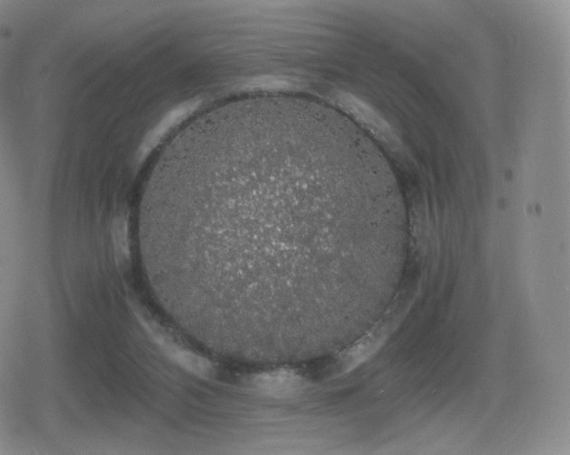 X0000080730112200612151234