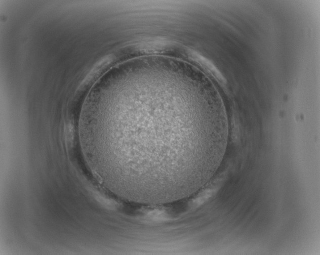 X0000080730113200612151234