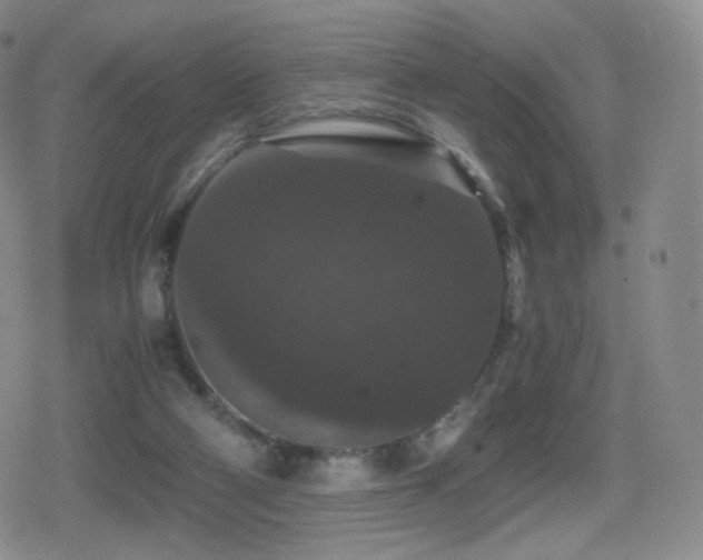 X0000080730114200612151234