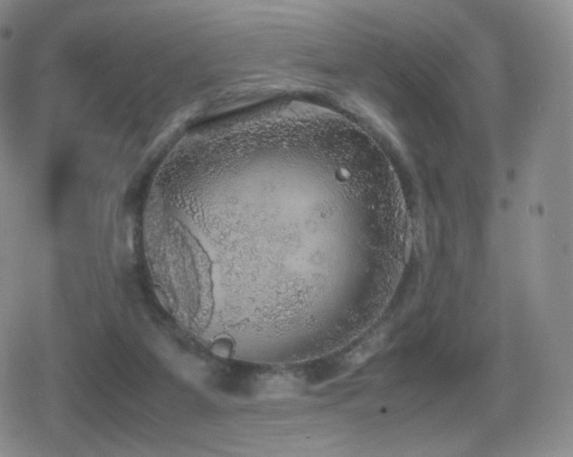 X0000080730115200612151234