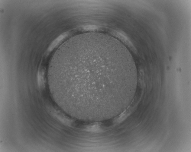 X0000080730116200612151234