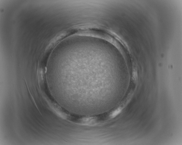 X0000080730117200612151234