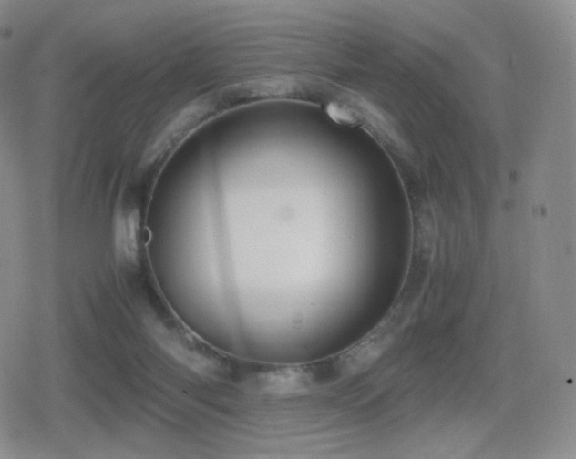 X0000080730118200612151234