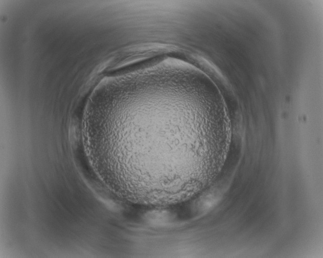 X0000080730119200612151234