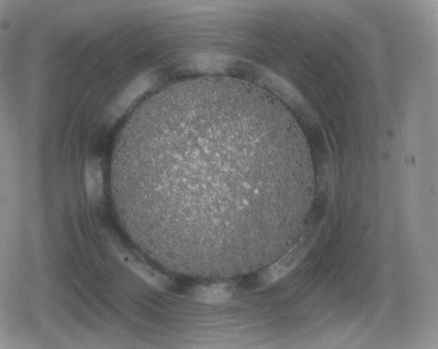 X0000080730120200612151234