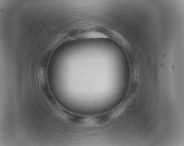 X0000080730121200612151234