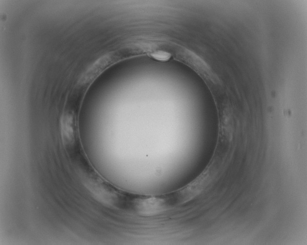 X0000080730122200612151234