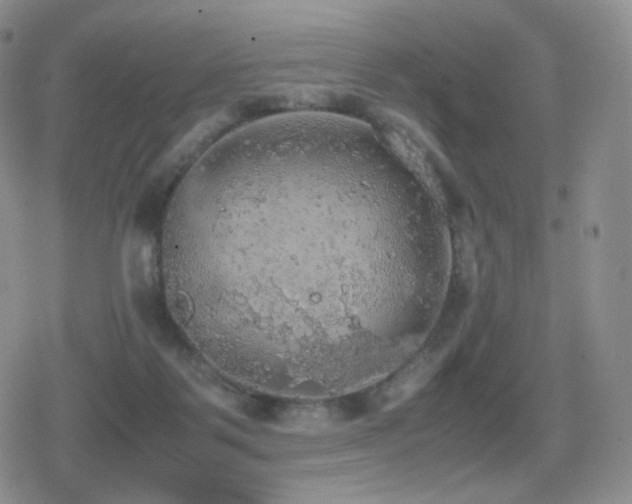 X0000080730123200612151234