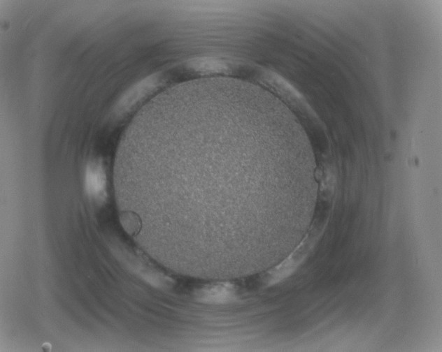 X0000080730124200612151234