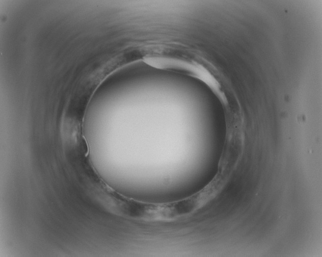 X0000080730125200612151234