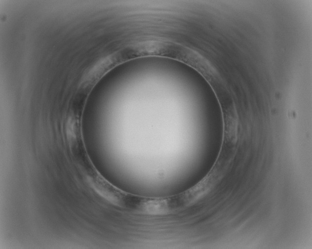 X0000080730126200612151234