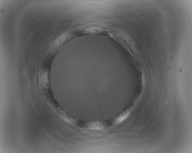 X0000080730127200612151234