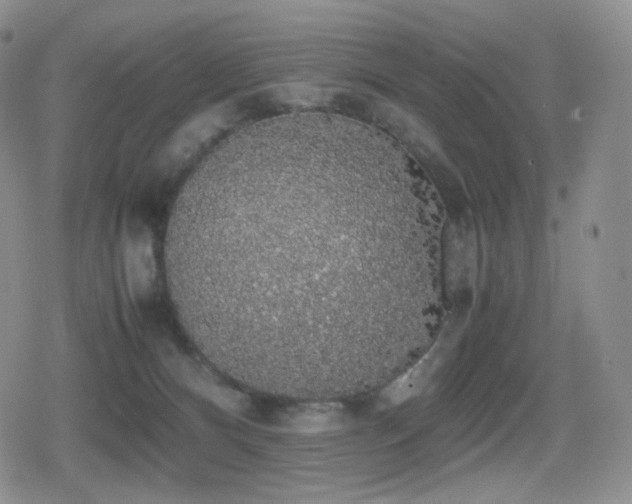 X0000080730128200612151234