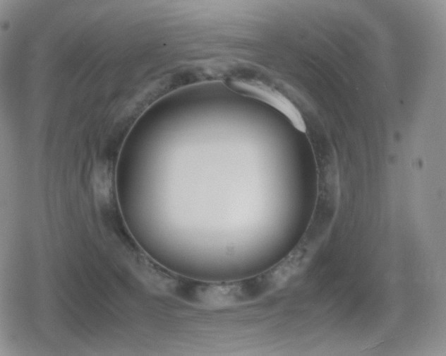 X0000080730129200612151234