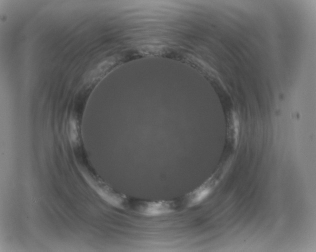 X0000080730130200612151234