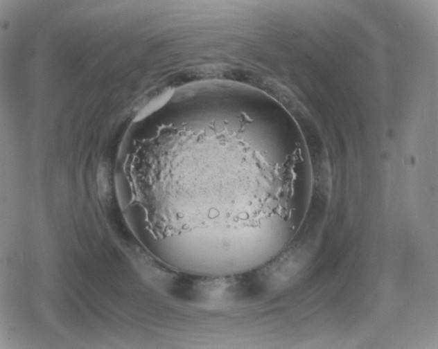 X0000080730131200612151234