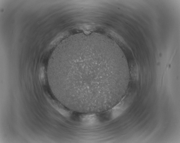 X0000080730132200612151234