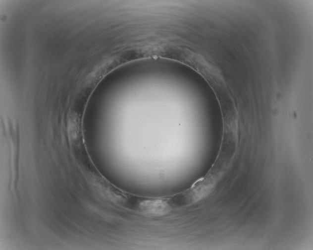 X0000080730133200612151234