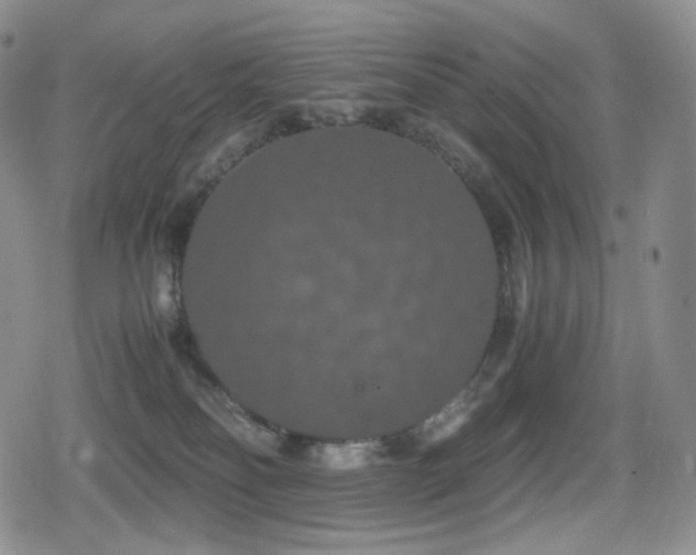 X0000080730134200612151234