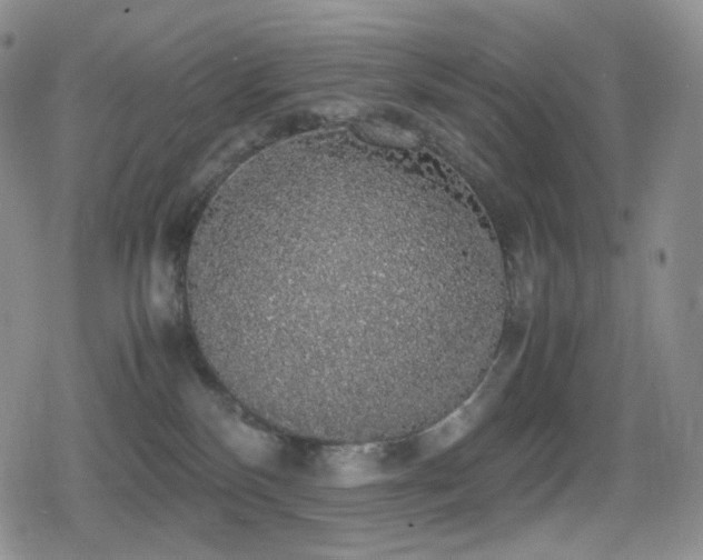 X0000080730136200612151234