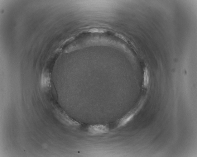 X0000080730137200612151234