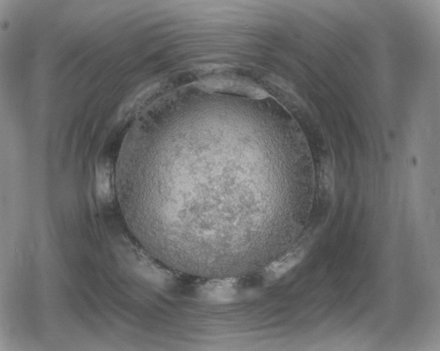 X0000080730138200612151234