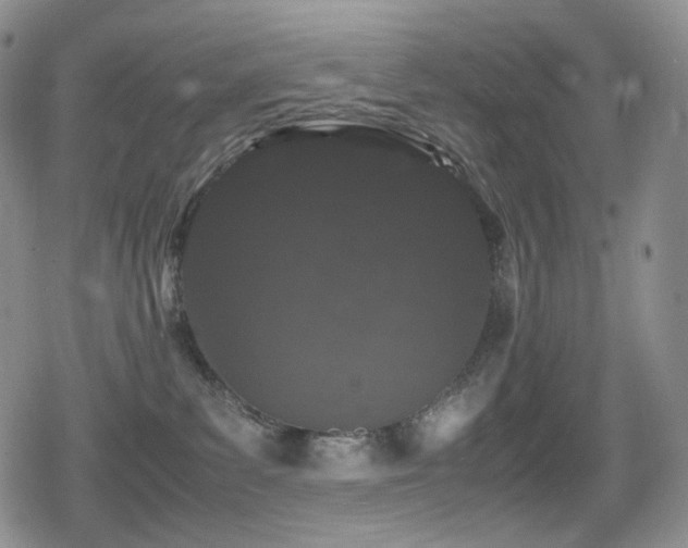 X0000080730139200612151234