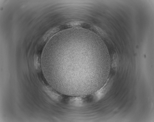 X0000080730140200612151234