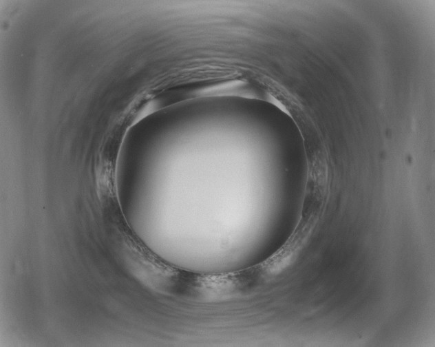 X0000080730141200612151233