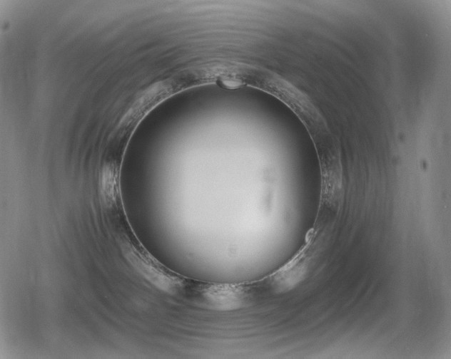 X0000080730142200612151233