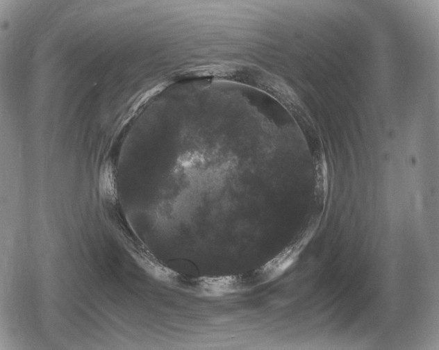 X0000080730143200612151233