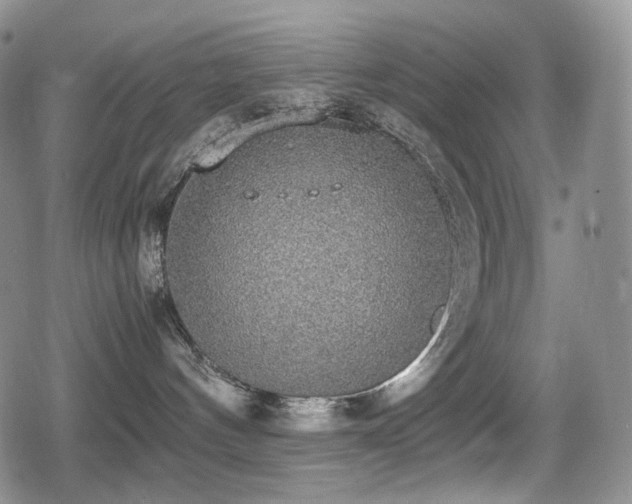 X0000080730144200612151233