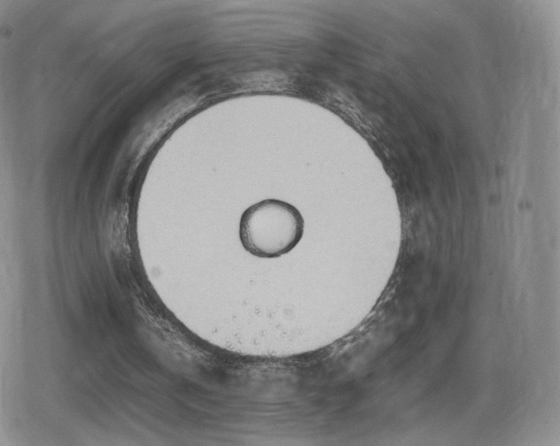 X0000080730146200612151233