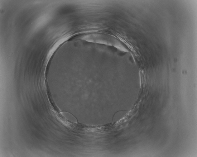 X0000080730147200612151233