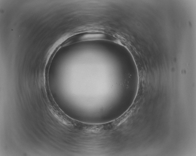 X0000080730148200612151233