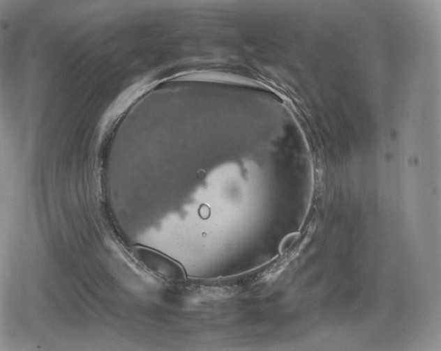 X0000080730149200612151233