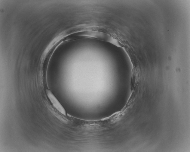 X0000080730150200612151233