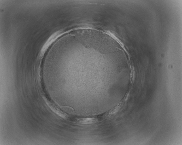 X0000080730151200612151233