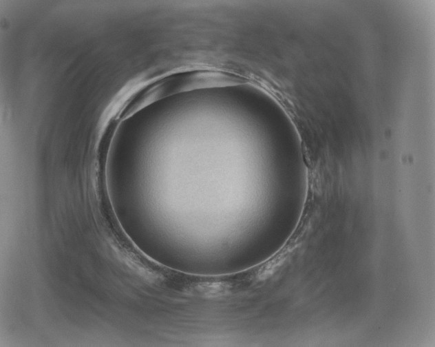 X0000080730152200612151233