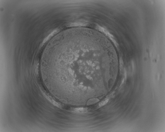 X0000080730153200612151233