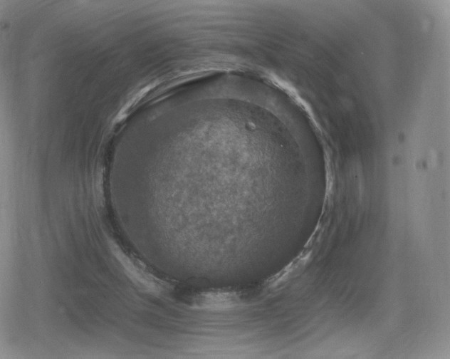 X0000080730154200612151233