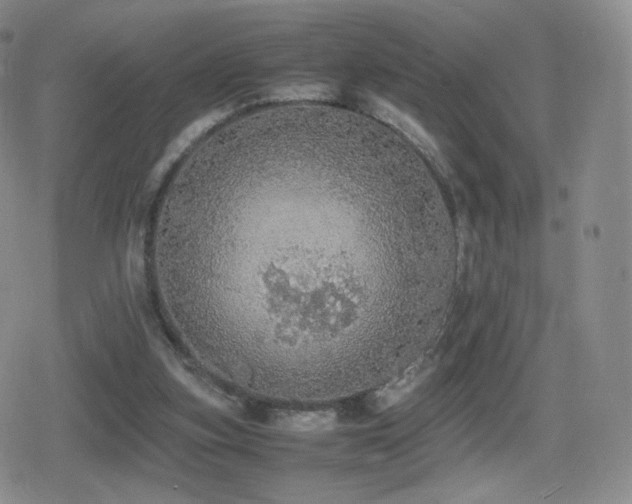 X0000080730155200612151233