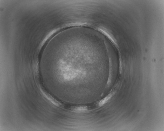 X0000080730156200612151233