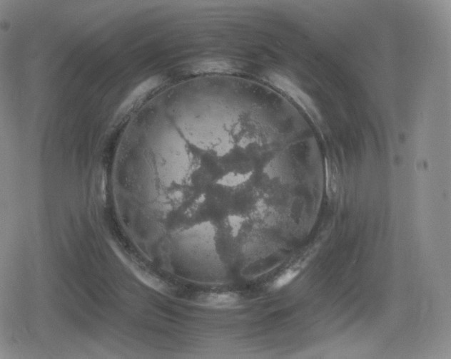 X0000080730157200612151233