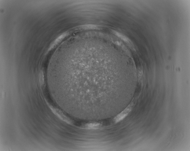 X0000080730158200612151233