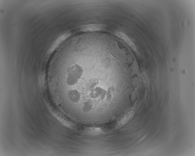 X0000080730159200612151233