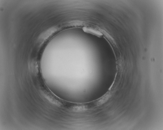 X0000080730160200612151233