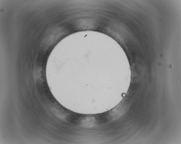 X0000080730162200612151233